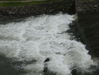 a0071805_931645.gif