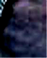 e0103408_1284775.gif