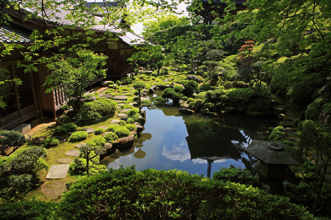 當麻寺・西南院の牡丹_f0181310_22185534.jpg