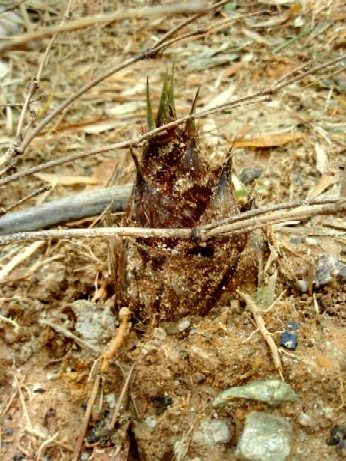 f0043911_14584090.jpg