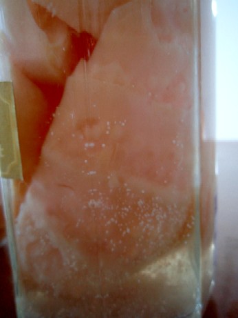 f0043911_15102712.jpg