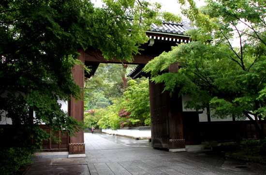 永観堂の雨_e0048413_183419.jpg