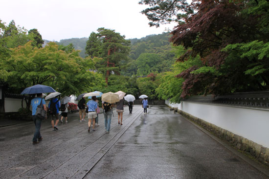 永観堂の雨_e0048413_18342469.jpg