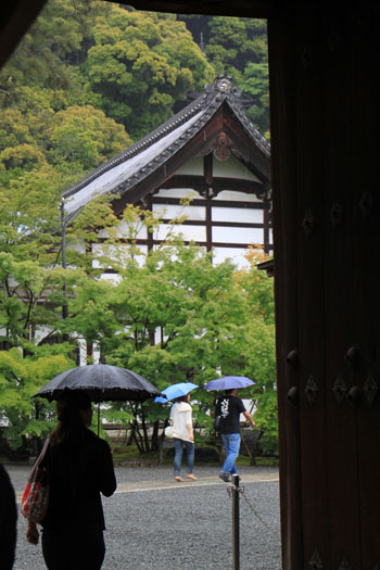 永観堂の雨_e0048413_18373080.jpg