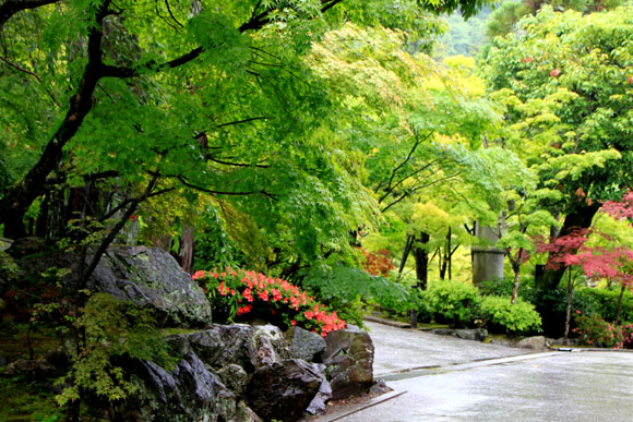 永観堂の雨_e0048413_18374740.jpg