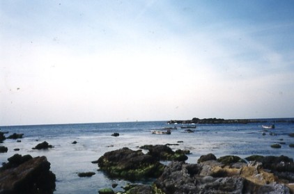 a0116217_1524143.jpg