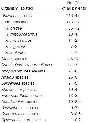 zygomycosis (ムコール症;mucormycosis)_e0156318_10243783.jpg