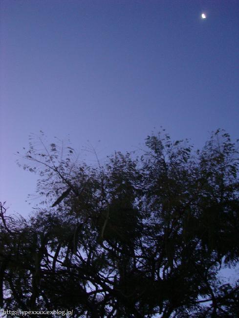 c0076823_11151145.jpg