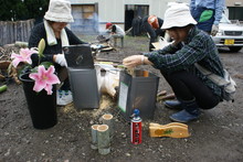 本格派・炭焼き体験・窯入れ(その1)_e0061225_1155060.jpg