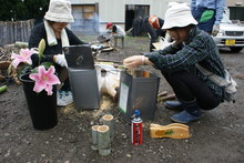 本格派・炭焼き体験・窯入れ（その１）_e0061225_1155060.jpg