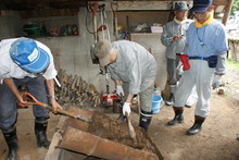 本格派・炭焼き体験・窯入れ(その2)_e0061225_14435075.jpg