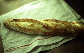 c0221827_17371738.gif