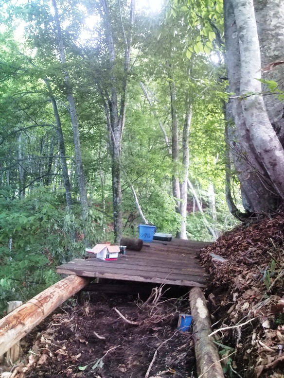c0210838_057191.jpg