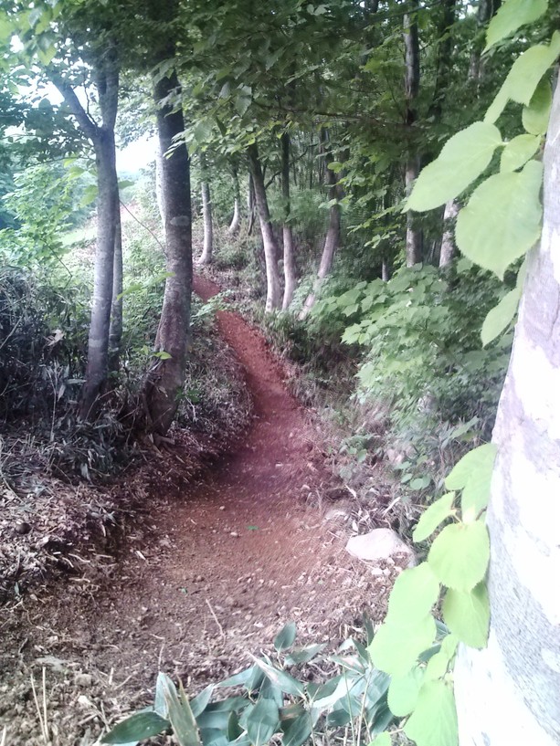 c0210838_059581.jpg