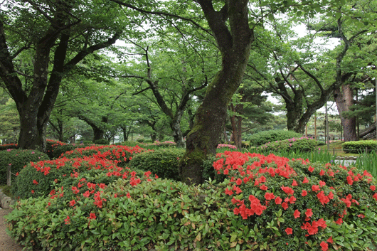 c0093046_7402378.gif