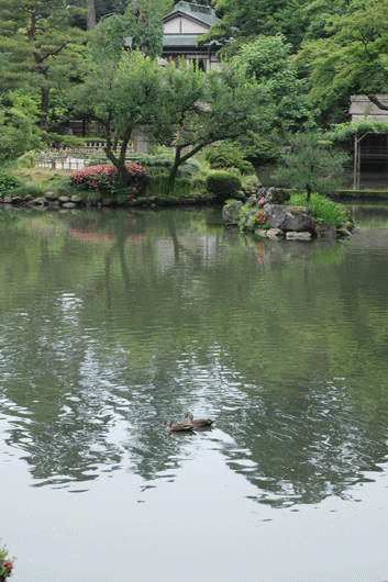 c0093046_7405673.gif