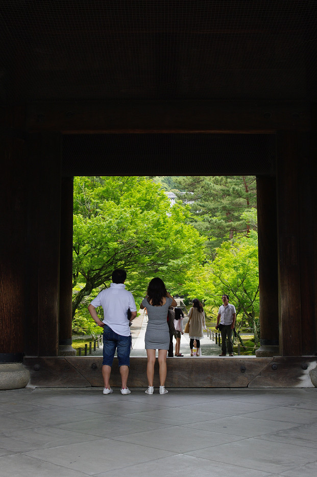 新緑　～南禅寺・インクライン～_f0152550_15164966.jpg