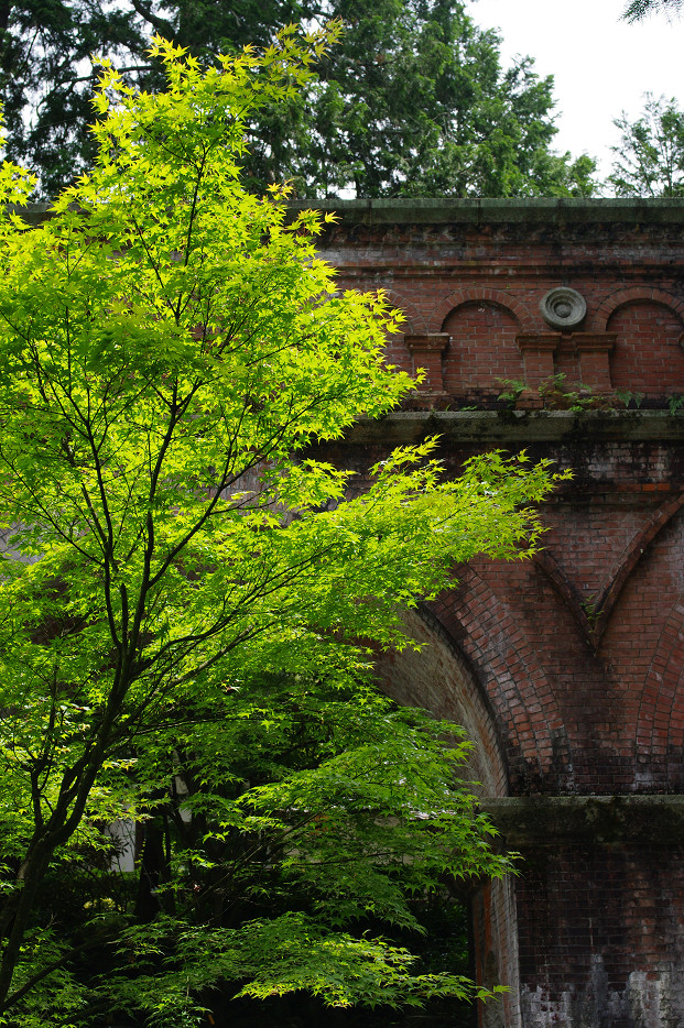 新緑　～南禅寺・インクライン～_f0152550_15171293.jpg