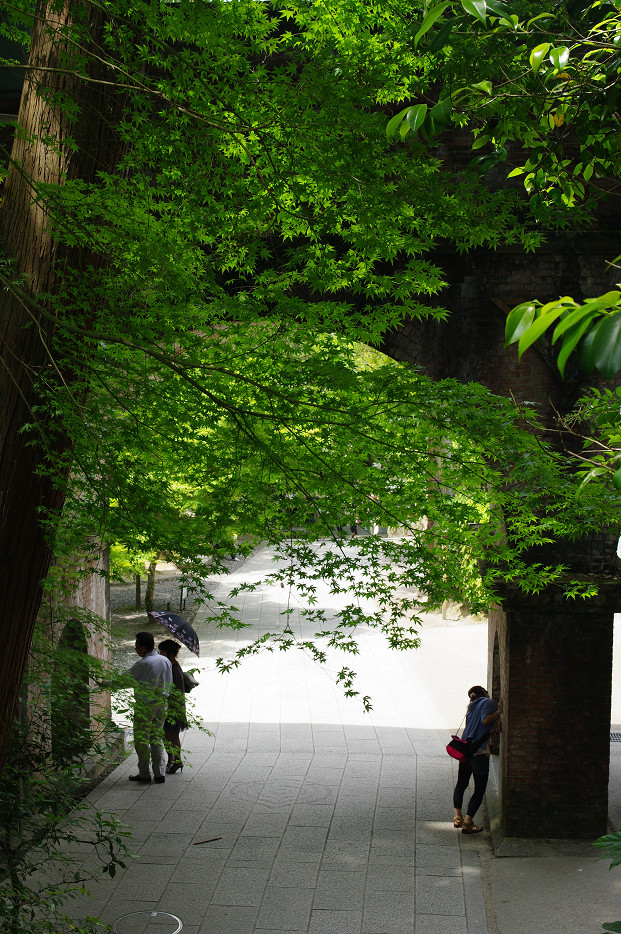 新緑　～南禅寺・インクライン～_f0152550_15171730.jpg