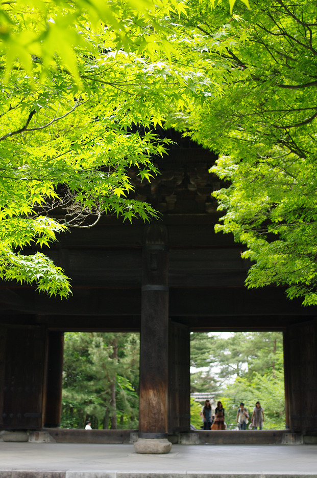 新緑　～南禅寺・インクライン～_f0152550_1517174.jpg