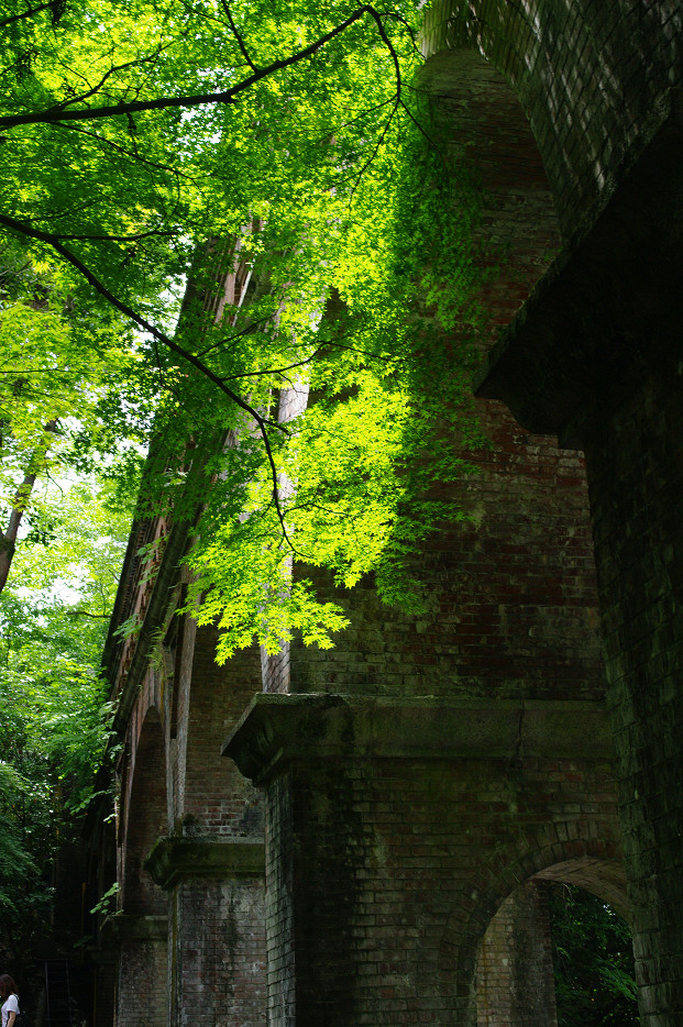 新緑　～南禅寺・インクライン～_f0152550_1517304.jpg