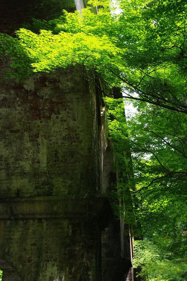 新緑　～南禅寺・インクライン～_f0152550_1517452.jpg