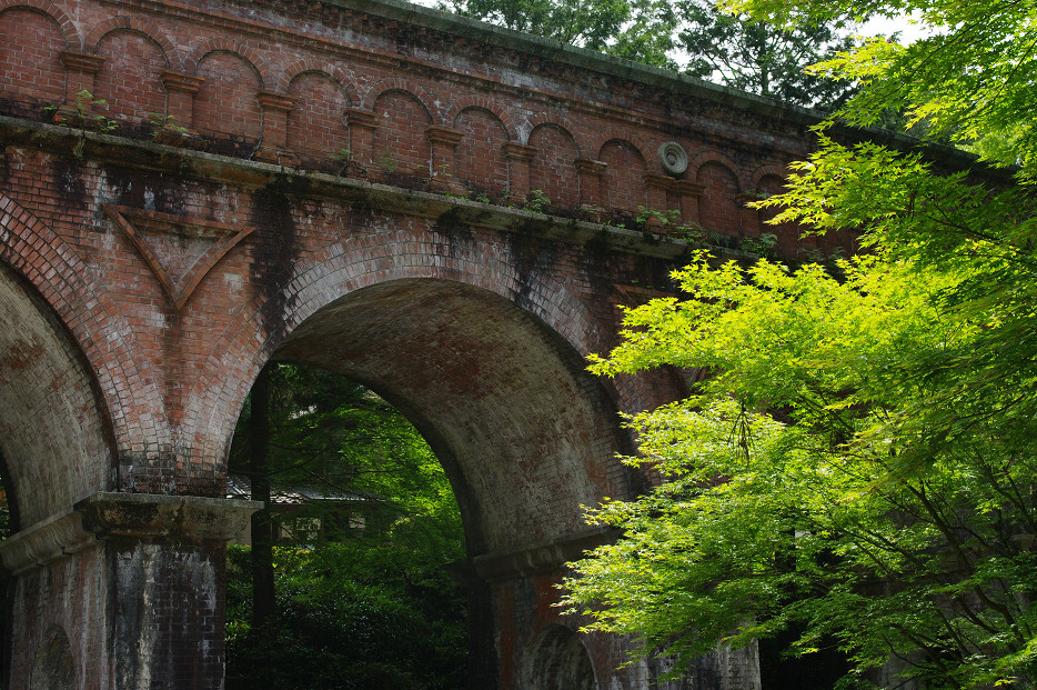 新緑　～南禅寺・インクライン～_f0152550_15175728.jpg