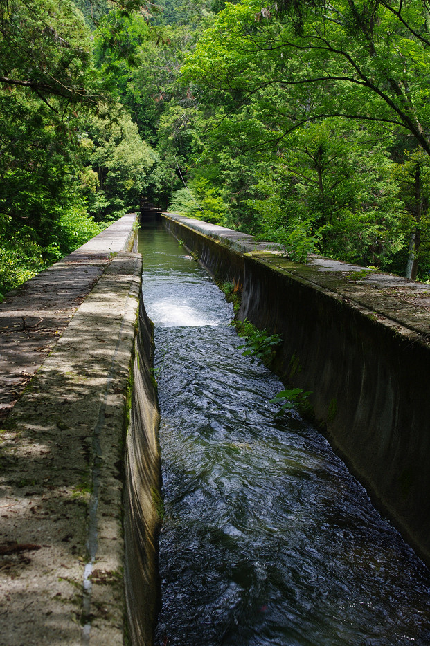 f0152550_15181297.jpg