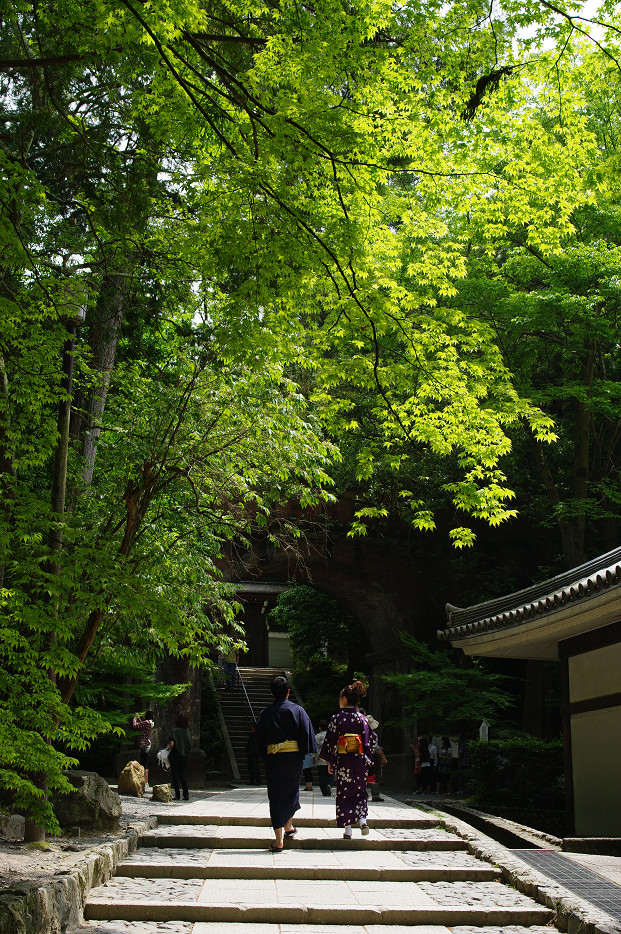 新緑　～南禅寺・インクライン～_f0152550_1518235.jpg