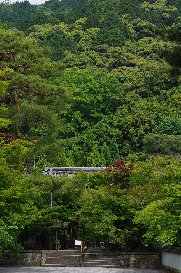 新緑　～南禅寺・インクライン～_f0152550_1519361.jpg