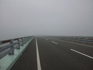 f0229250_17583744.gif
