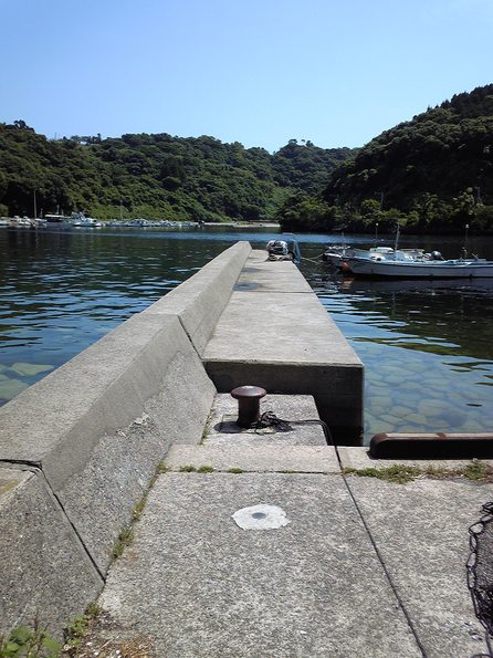 エギング 大遠征 鹿児島 熊本 つり具の加藤 スタッフ釣行記