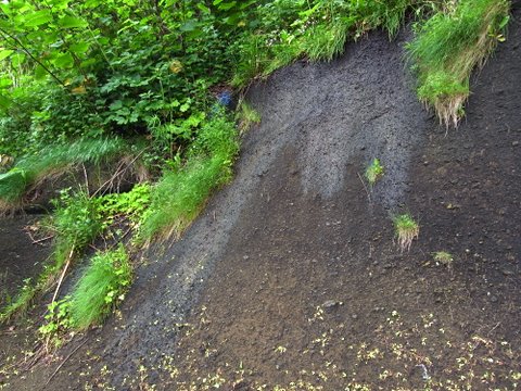 b0130166_20175.jpg