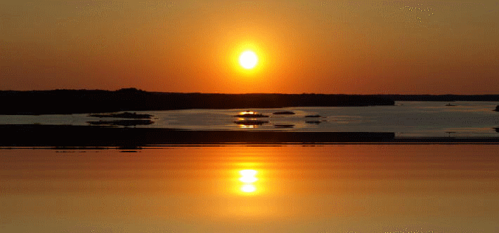 f0182571_171178.gif