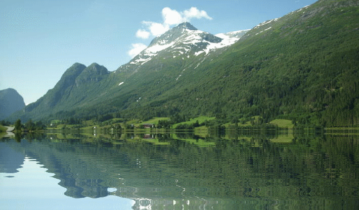 f0182571_20571275.gif