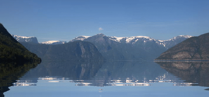 f0182571_20573039.gif