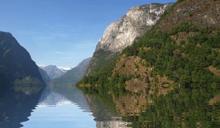 f0182571_20574341.gif