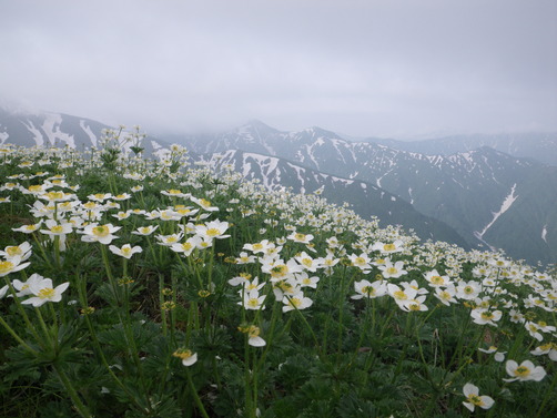 飯豊連峰_f0170180_22153322.jpg