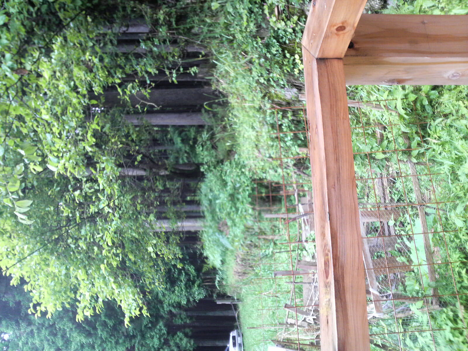 出会い_f0052181_21563094.jpg
