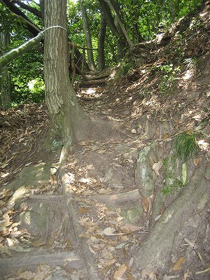 c0229483_22383099.jpg