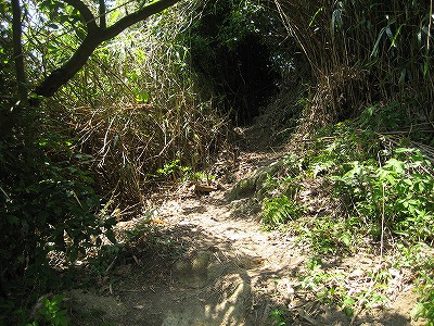 c0229483_223846.jpg