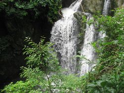f0053885_17503767.jpg