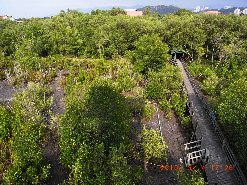 b0108186_214327.jpg