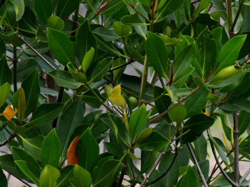 b0108186_2151350.jpg