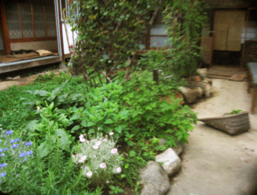 d0077603_10575378.jpg