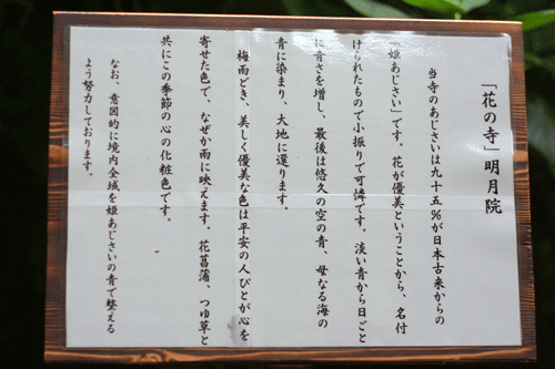 *鎌倉_明月院*_d0000304_16505623.gif
