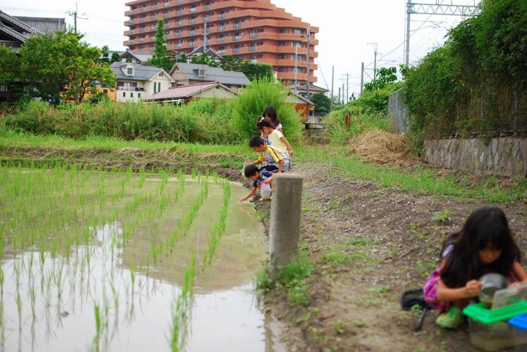 本日の釣？果　　６月20日_b0187505_17494938.jpg