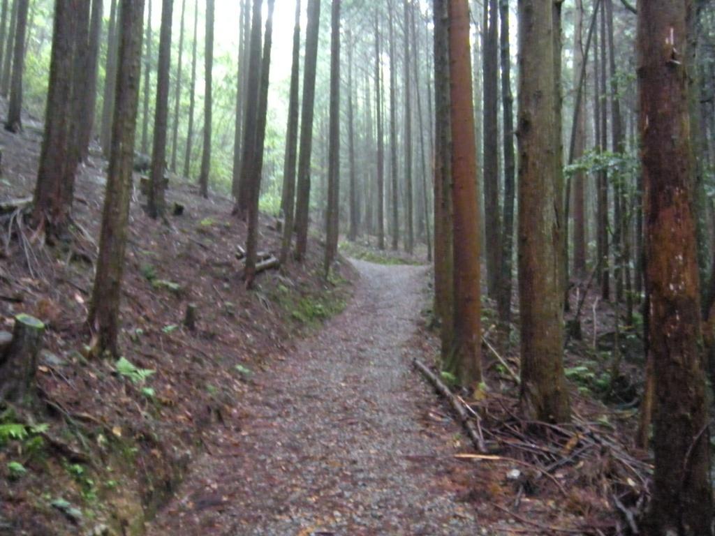 f0219810_21401855.jpg