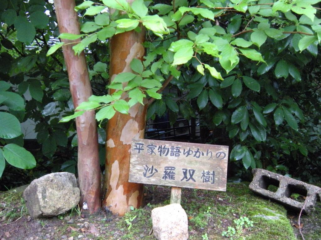 f0219810_21473390.jpg