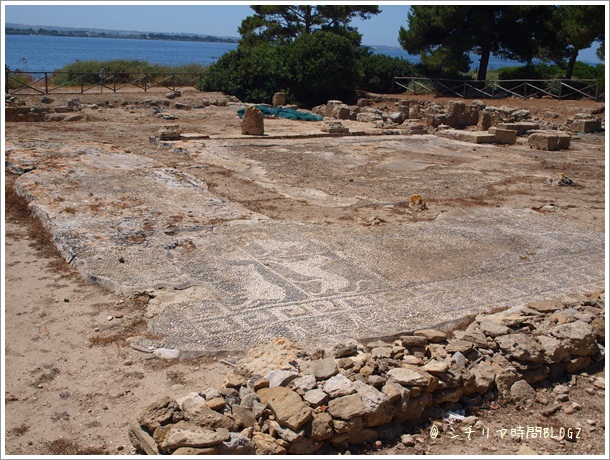 紀元前の世界にタイムトリップ！カルタゴ遺跡の島、モツィア島へ！_f0229410_2204055.jpg